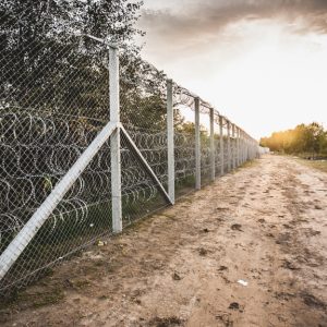 A migránsok Szerbiában lövöldöznek, betörnek a tanyákra, majd a magyar határt támadják