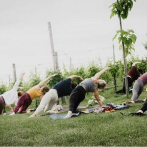 A legjobb ütemekre töltődhetnek fel a résztvevők a palkonyai HorizOm - Yoga & Music Fesztiválon