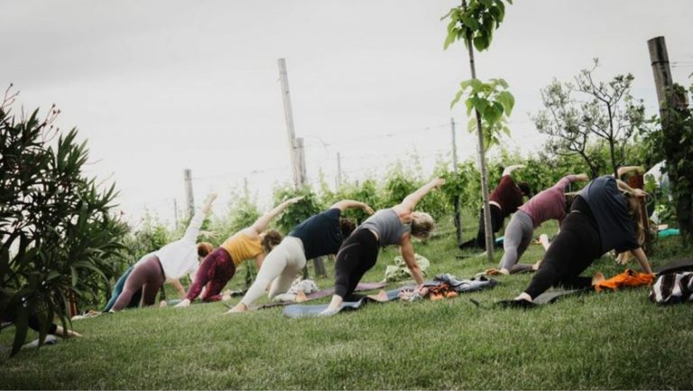 A legjobb ütemekre töltődhetnek fel a résztvevők a palkonyai HorizOm - Yoga & Music Fesztiválon