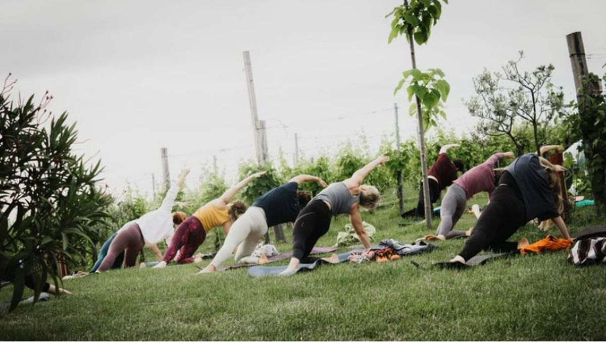 A legjobb ütemekre töltődhetnek fel a résztvevők a palkonyai HorizOm - Yoga & Music Fesztiválon