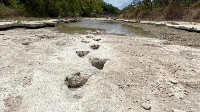 A súlyos szárazság 113 millió éves dinoszaurusznyomokat fedett fel