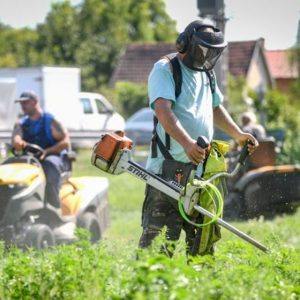 Több mint félszáz bejelentést kaptak, de parlagfű miatt csak párat