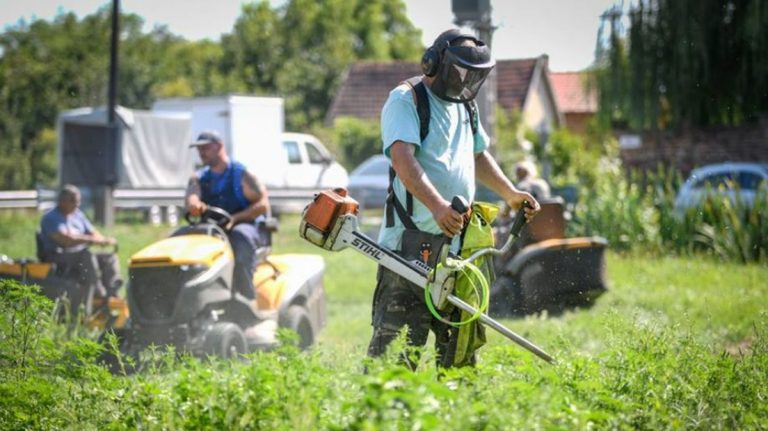 Több mint félszáz bejelentést kaptak, de parlagfű miatt csak párat