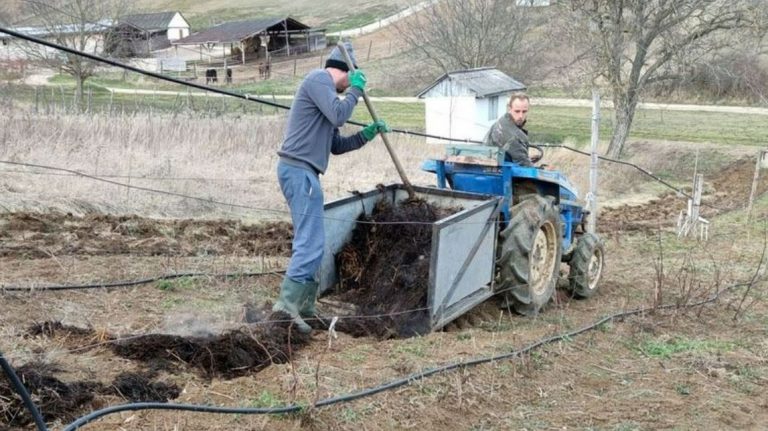 A gazdák érdeke, hogy minél előbb a földbe dolgozzák a trágyát