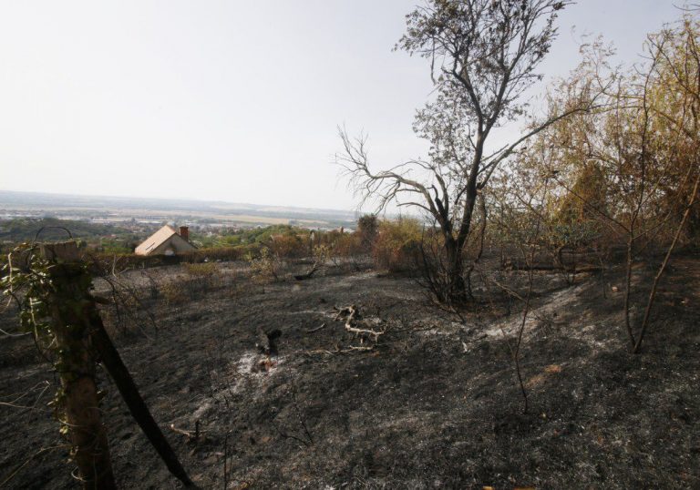 Kártérítést ígért, majd felszívódott a patacsi tűz okozója