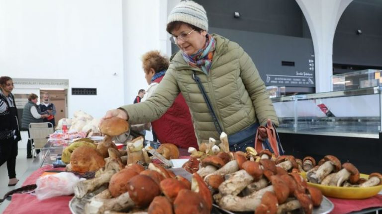 Alapszabály a gombát mindenképpen be kell vizsgáltatni