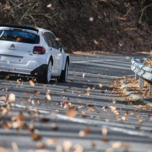 Östbergék nyerték az idényzáró Zemplén-ralit, övék a bajnoki cím is