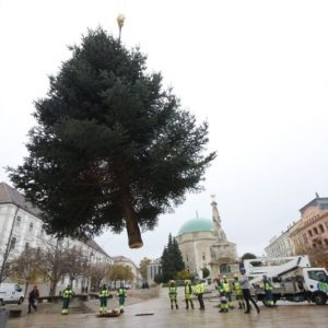 Pécsett már nagyon várják az ünnepeket, felállították a mindenki karácsonyfáját!