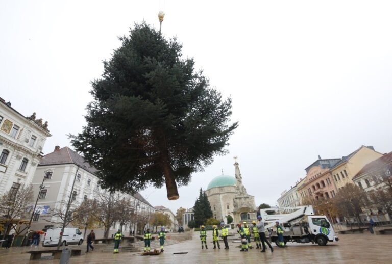 Pécsett már nagyon várják az ünnepeket, felállították a mindenki karácsonyfáját!