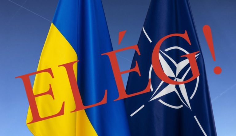 eleg-nato