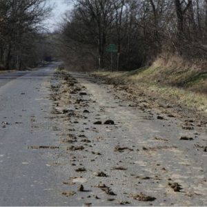 Zsúfolt utakra figyelmeztet a Közút