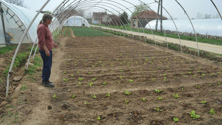 Csodamód tűntek el a százmilliók Cserdiben