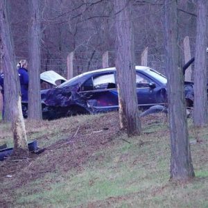 Fának hajtott egy bevándorlókat szállító autó az M5-ösön Táborfalvánál, egy ember meghalt