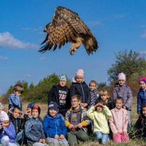 A Hódító hód kenutúrával bejárhatjuk a Vén-Dunát