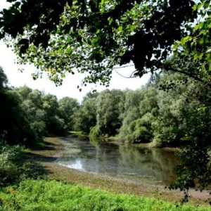 A vizes élőhelyek védelmére hívják fel a figyelmet