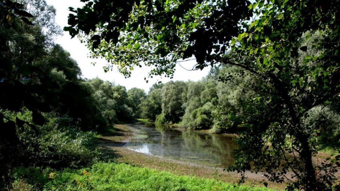 A vizes élőhelyek védelmére hívják fel a figyelmet