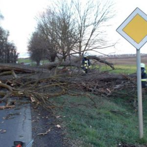 Dominóként dőltek a villanyoszlopok a szombati viharban