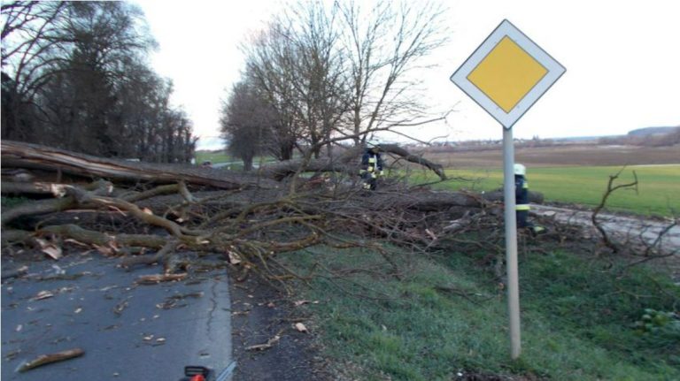 Dominóként dőltek a villanyoszlopok a szombati viharban