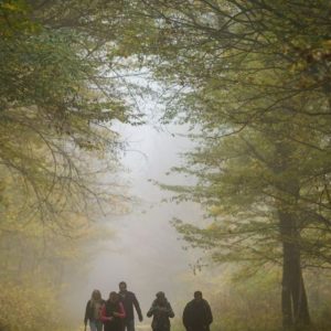 Ismét túrával emlékeznek a Zengő-csatára a Mecsekben