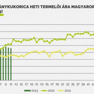 Hatalmasat zuhant a búza és a kukorica ára