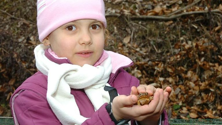 Lassan elindul a varangyok mentése Orfű és Sikonda környékén