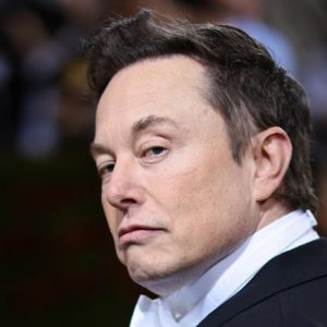 Elon Musk a Twitter vezérigazgatójának nevezte ki a kutyáját