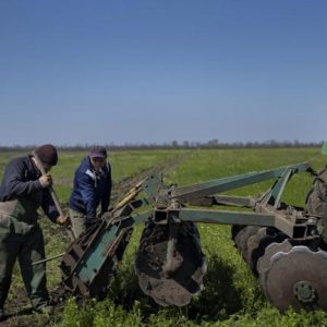 Életük árán is aknamentesítik a termőföldeket az ukrán gazdák