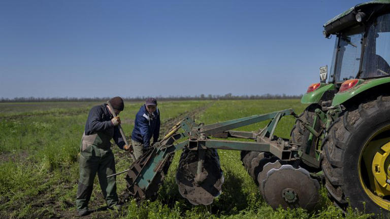 Életük árán is aknamentesítik a termőföldeket az ukrán gazdák