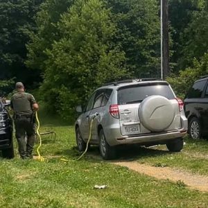 Medve foglalt el egy terepjárót, érdekes módon szabadították ki