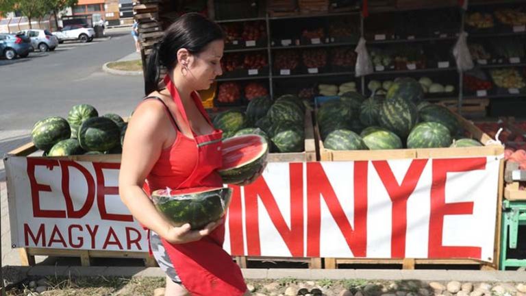 Árháborúval kezdődött el idén a dinnyeszüret