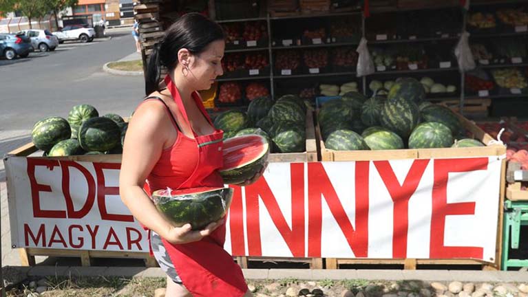 Árháborúval kezdődött el idén a dinnyeszüret