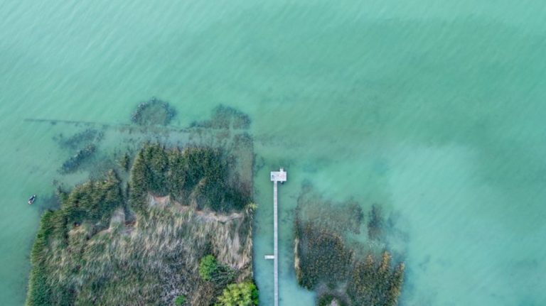 Több helyen eltűnt a nád a Balatonban