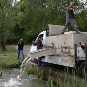 Indul az őszi telepítési dömping a baranyai horgászvizekbe