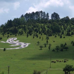 Nem a Nazca-vonalak, de a miénk – Gyönyörű foltos szalamandrát formál hazánk különleges geoglifája