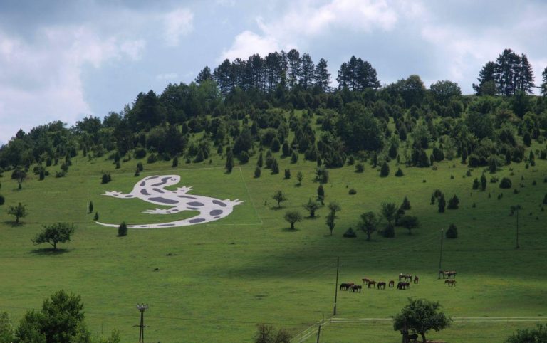 Nem a Nazca-vonalak, de a miénk – Gyönyörű foltos szalamandrát formál hazánk különleges geoglifája