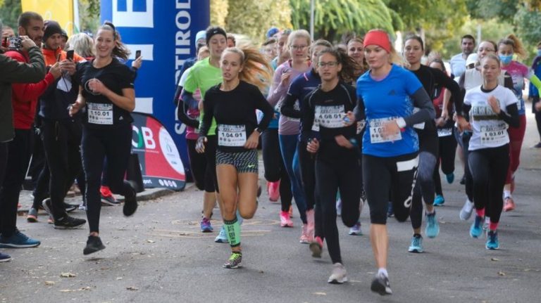 Vigyázat! Rókaűzők bukkanhatnak fel a zselici erdőkben