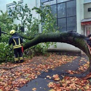 A szélvihar sok munkát adott a kaposvári tűzoltóknak