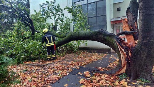 A szélvihar sok munkát adott a kaposvári tűzoltóknak