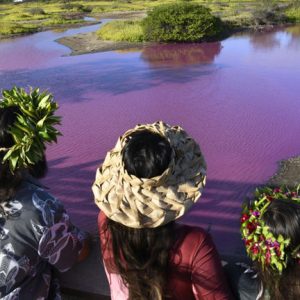 Rejtélyes módon rózsaszínűvé változott egy tó Hawaiin, a szakértők szerint aggodalomra adhat okot