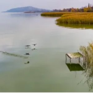 Télre nem maradhatnak a Balatonban a stégek