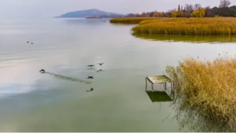 Télre nem maradhatnak a Balatonban a stégek