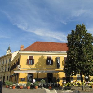 Színes pécsi programok dobják fel a szürke, őszi napokat