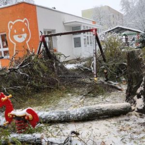 Ketté hasadt fűzfa zúzta össze az alatta parkoló autót a Honvéd utcai Óvódánál