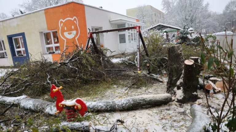 Ketté hasadt fűzfa zúzta össze az alatta parkoló autót a Honvéd utcai Óvódánál