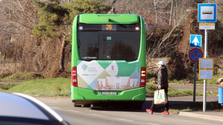 Megígérték, nem lett belőle semmi - egy pécsi zebra története