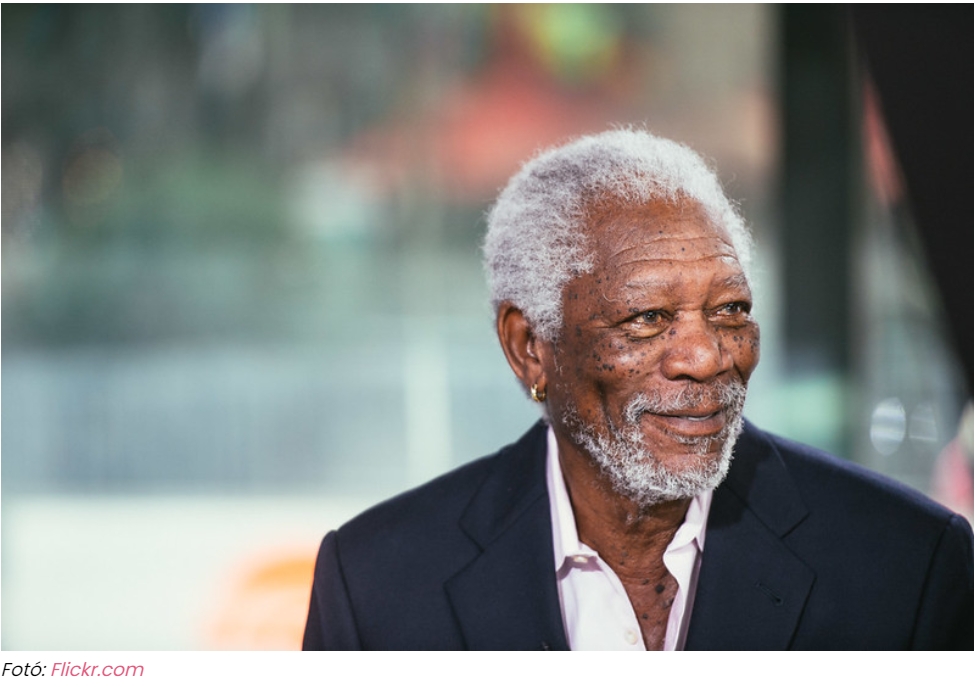 Morgan Freeman méhmenedék