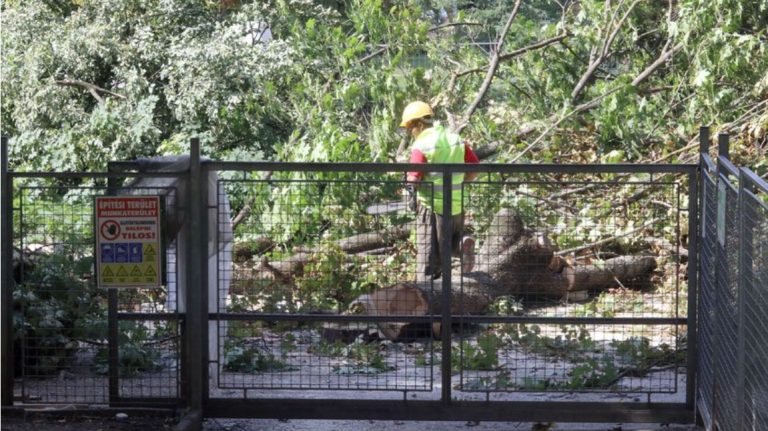 Már számolgatják, hogy mennyit bukik Pécs a városvezetés miatt