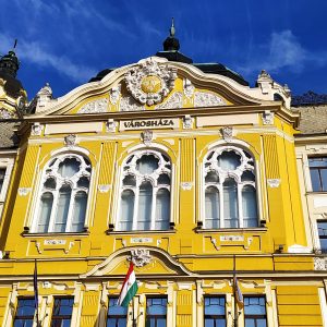 Péterffyék addig ritkították a járatokat, hogy a buszos sztrájk is alig látszik