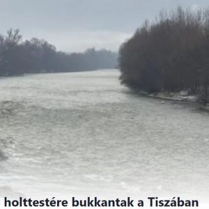 Fiatal férfi holttestére bukkantak a Tiszában