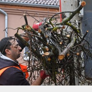 A kukásautóban landol a zöldhulladék